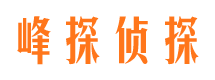 阜康找人公司